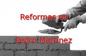 Reformas Granada Pedro Martínez